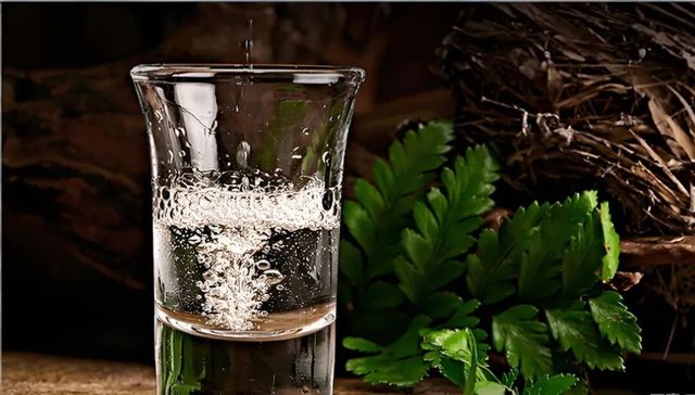 华致酒行,亏损,