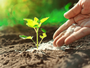 硫磺價格狂飆，下游行業(yè)急了