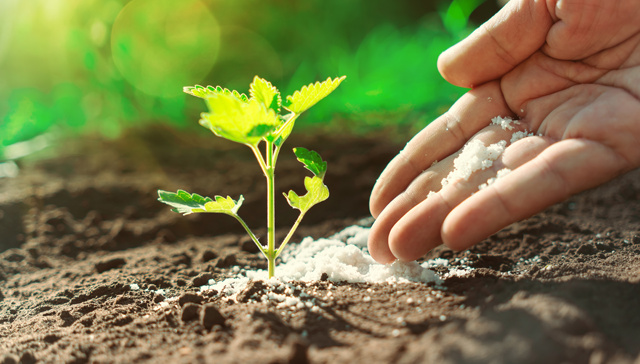 硫磺价格狂飙，下游行业急了