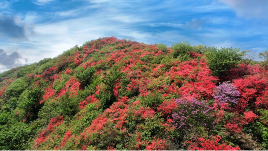 1766385425122596.png 6.png