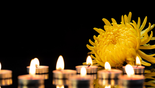 大卫·林奇、约瑟夫·奈、乔治·阿玛尼 ……他们如流星划过星空｜2025年逝者回顾