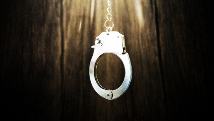 从9所学校招募44名学生参与有偿陪侍，齐齐哈尔一恶势力团伙多人获刑