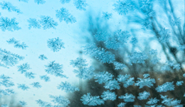 冷冬不冷场，这八种冬日消费火热升温