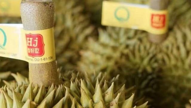 “水果第一股”洪九果品将退市，已停牌超过一年半