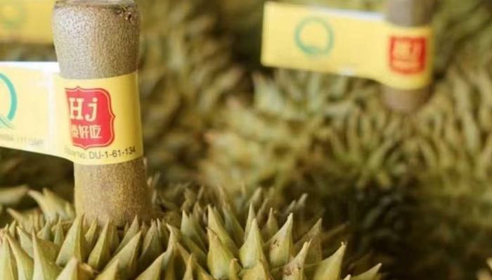 “水果第一股”洪九果品将退市，已停牌超过一年半