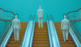 内升老将换下空降兵，金沙酒业能否盘活困局？