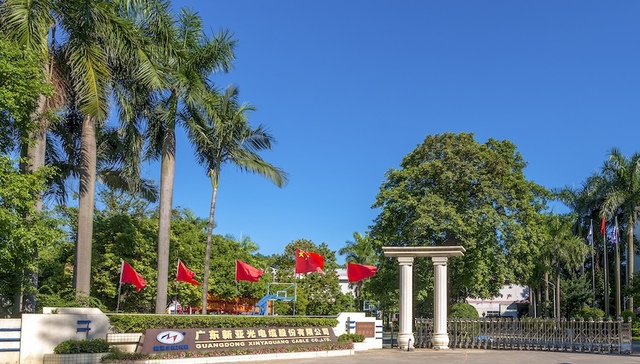 深耕廿六载赋能新征程——新亚电缆以创新驱动引领线缆行业高质量发展