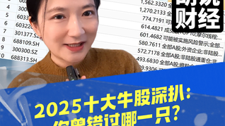 2025 十大牛股深扒：你曾錯過哪一只？