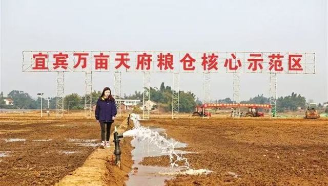 追踪｜“非粮化”整治下百亩苗圃被毁，高院提审后涉案镇政府同意评估损失