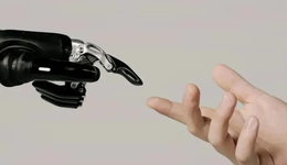 具身智能2025：“人机共生”前夜