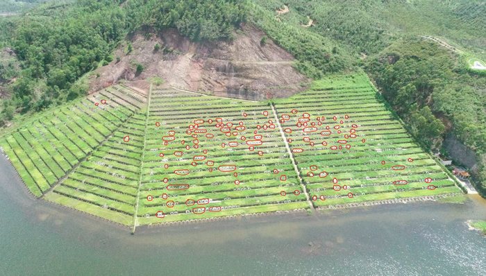追踪｜“坟爷”林耀昌涉事墓园或将被采取拆除、关闭等整改措施