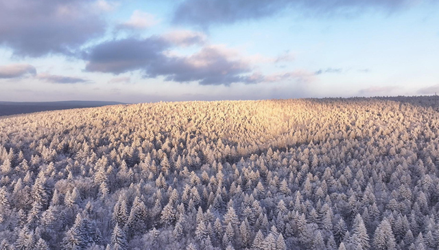 冰雪微笑曲线| 雪漫老里克湖，马拉爬犁载百年民俗