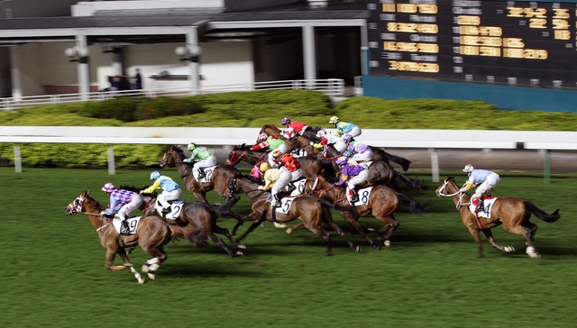 大湾区瞄准赛马经济，香港如何联动内地？