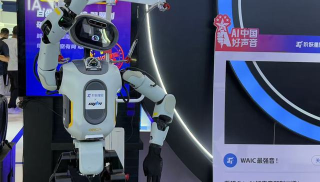 2025人工智能大会逛展指南：机器人“现场打架”，大模型走进现实