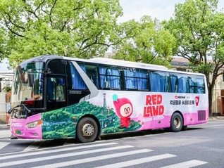 小红书怎么抢起了B站的生意？