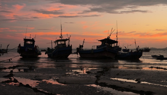 “仅看一眼渔船照片就批准出海”，辽宁严查涉渔船腐败130人主动投案