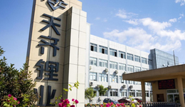 接班“赌徒”老爸600天，“锂业公主”蒋安琪赶上好时候