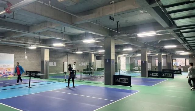 网红运动,匹克球,