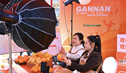 为虚假宣传等划定行为红线，直播电商监管新规出台