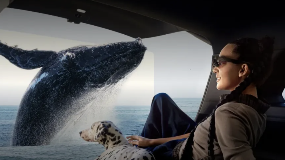 截屏2026-01-05 14.39.27.png