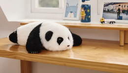 CES變成中國科技秀：機(jī)器人跳舞、熊貓獲獎(jiǎng)、眼鏡會(huì)說話