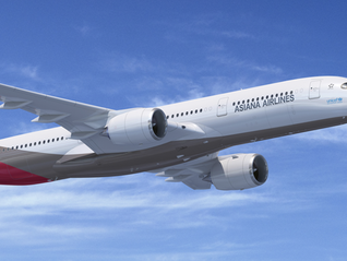 韩国飞香港一航班机舱内起火，韩亚航空通报：系乘客携带的充电宝所致