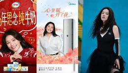 2025明星商业价值：糊有糊的活法