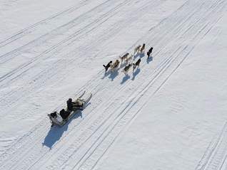 格陵兰岛仅靠狗拉雪橇防御？特朗普重申必须拿下