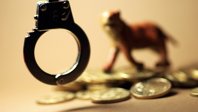 反腐,;罗保铭;老乡圈;政商勾连;腐败;90年代;50万元现金