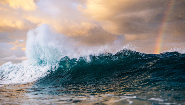 国产明星创新药;出海