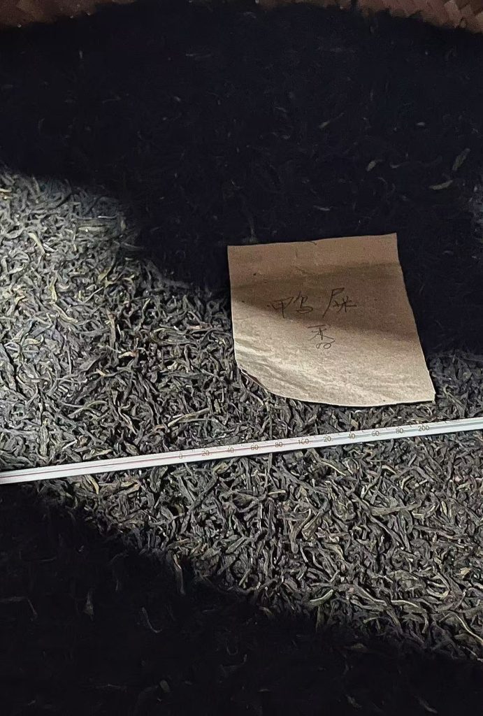 鸭屎香单丛茶金奖得主库洛茶的特立独行之路