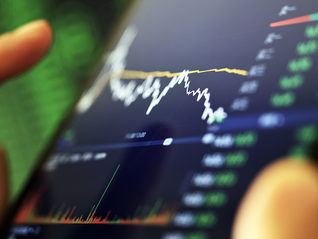 开盘跌停！向日葵被立案调查，资产重组终止