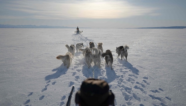 欧洲多国出兵格陵兰，白宫：不影响夺岛目标