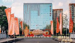 徽酒金花“失語”，金種子酒連虧5年