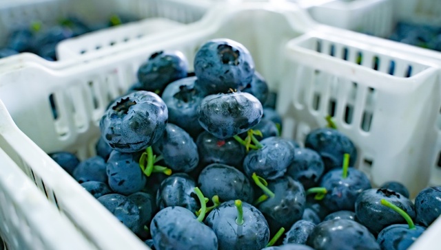 拼多多;千亿扶持;2026年货节;百亿补贴;三大重磅补贴