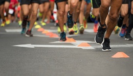 地方新闻精选 | 重庆马拉松一名选手突发疾病去世 汕头通报“恶狗咬断女生跟腱”