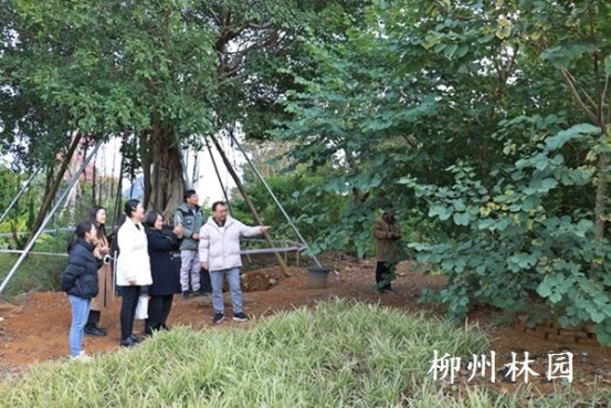 柳州专题交流会推动两会建议提案落地，加速甘油二酯等成果转化与产业融合