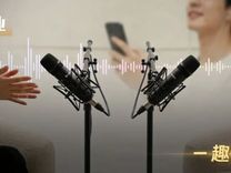 章泽天、罗永浩们扎堆入局，“视频播客”成流量新战场？