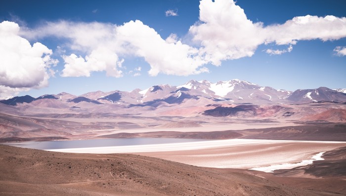 天齐锂业;智利锂矿;保卫战;战败