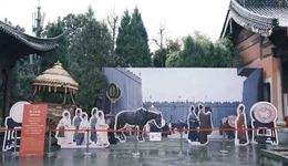 杭州借势《太平年》为文旅市场加温