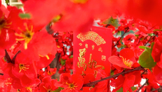 阿里;春节红包大战;千问APP;上亿红包