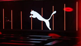 买遍银河系，安踏为什么还需要一个彪马