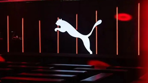 买遍银河系，安踏为什么还需要一个彪马