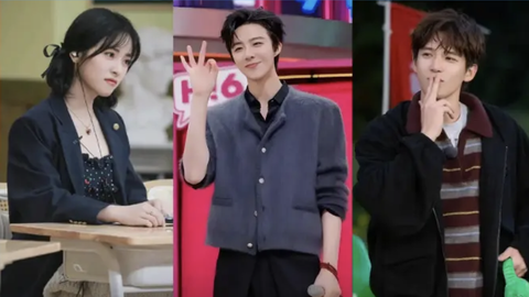 “综艺新流量”当道？王鹤棣、白鹿们成了招商王牌