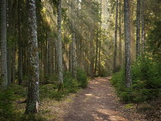 日本警方回应中国籍女性死亡事件：存在他杀可能
