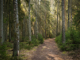 日本警方回应中国籍女性死亡事件：存在他杀可能
