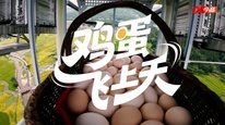 2025年第三季度优秀网络视听作品：短视频《鸡蛋飞上天》
