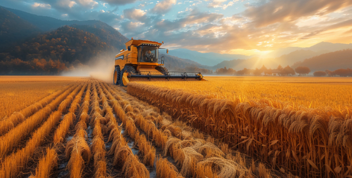 中央一号文件部署土地承包到期后再延长三十年试点：妥善解决延包中的矛盾纠纷