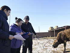首次！中央一号文件提出“常态化精准帮扶”