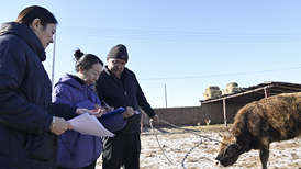 首次！中央一号文件提出“常态化精准帮扶”